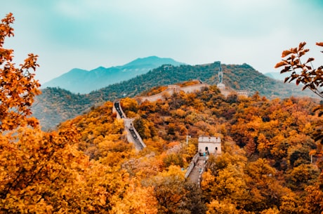 青山已过万重山(青山已过万重山，将枯萎的大地抚平)