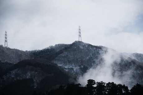 石仙桃(浙江石仙桃：一座在现代文明中守护民俗传统的城市)