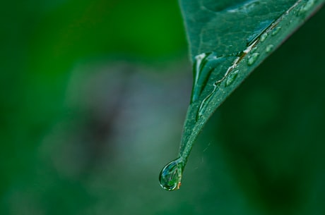 探寻古代水利工程：成化犁庭