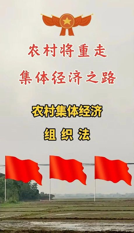 农村集体建设用地，从农村集体建设用地到农村振兴