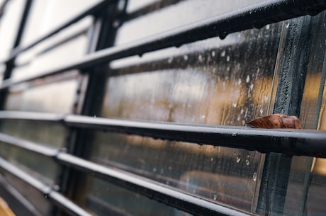 夏雨和袁泉(夏雨和袁泉合作新剧引关注！)