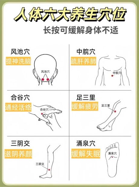 风池的准确位置图，风池的准确位置图，带你了解这个穴位的特点和功效