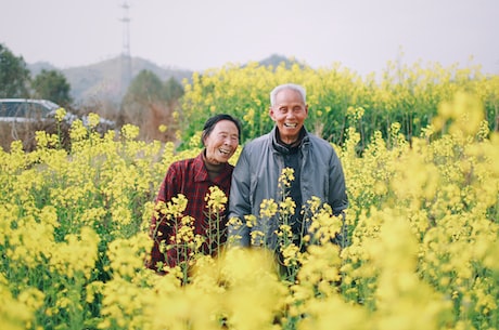 婚内财产协议(如何签订婚内财产协议避免财产纠纷)