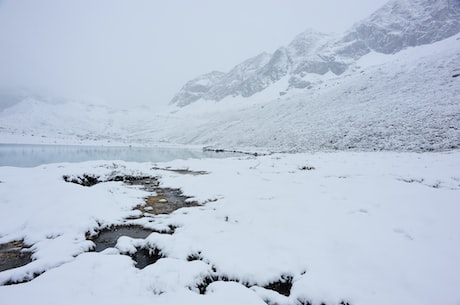 建兰小桃红(建兰小桃红：桂林山水甲天下的最美景色)