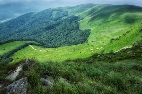 贺兰山东麓(探访中国北方大草原的绿色明珠——贺兰山东麓)