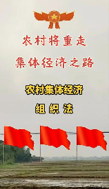 农村集体建设用地，从农村集体建设用地到农村振兴